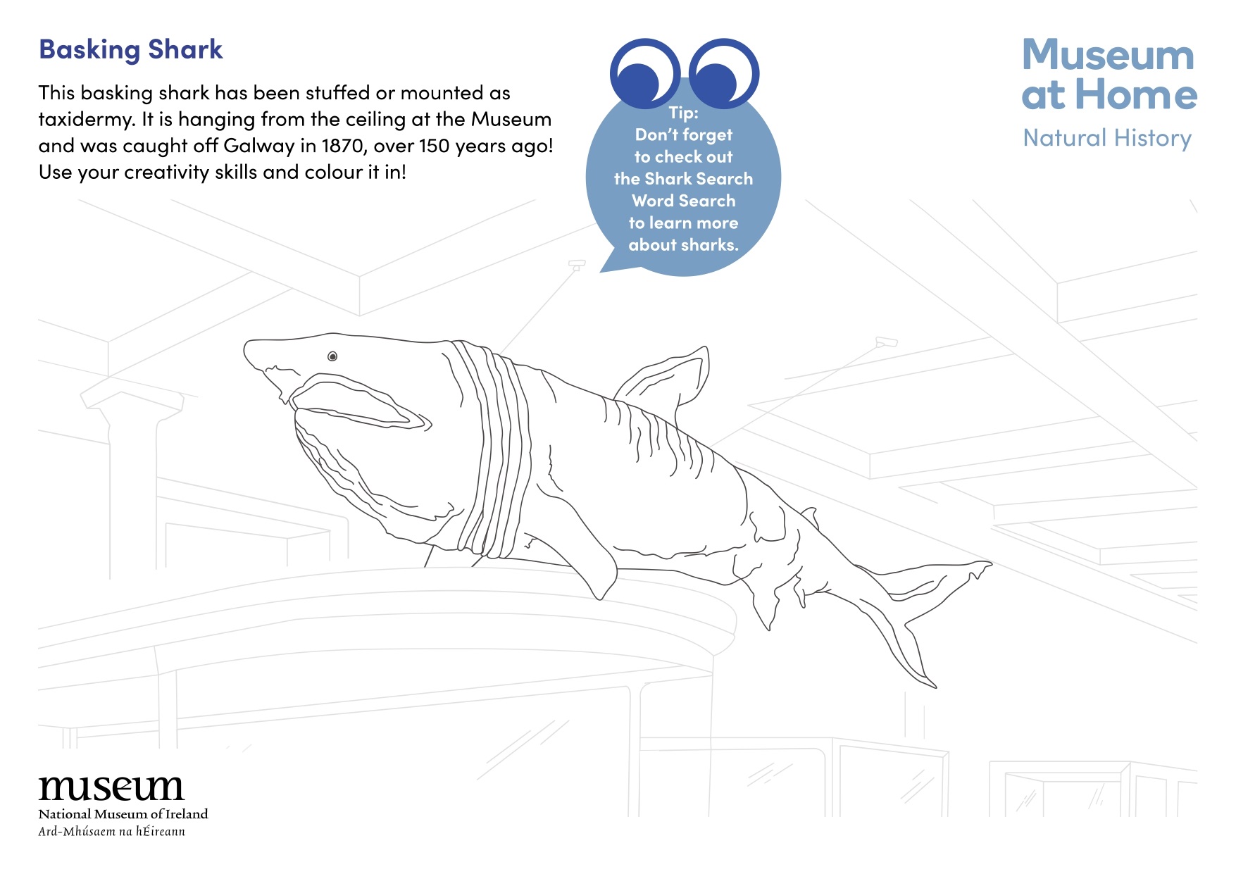 Basking-Shark-colouring-sheet-FINAL-web_page-0001.jpg