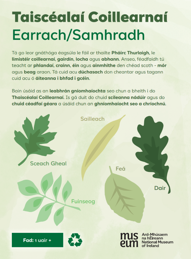 Explorer-Spring-Summer-Iri.png Explorer-Spring-Summer-Iri.png