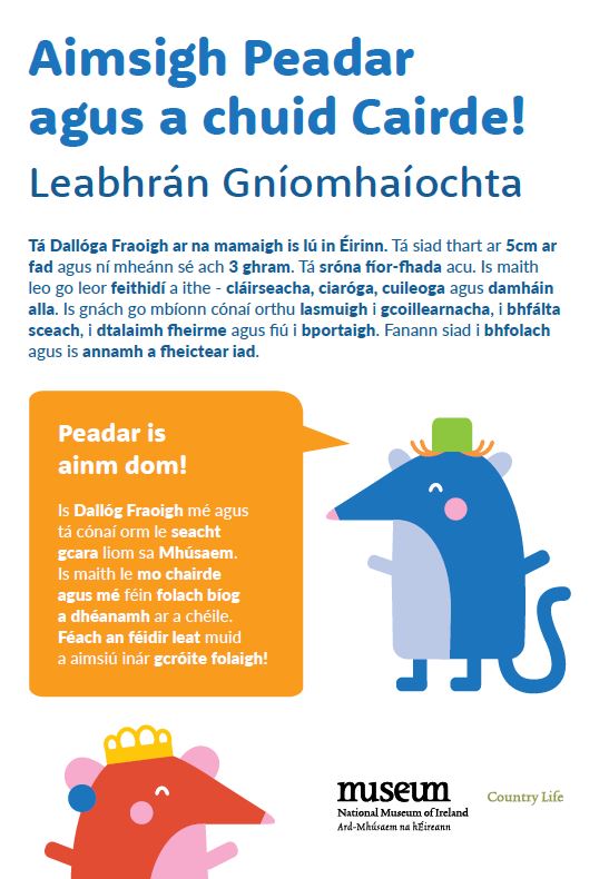 Peadar-as-gaeilge.JPG